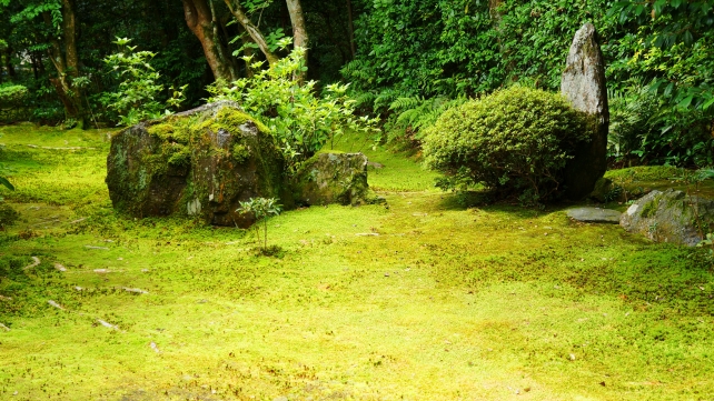 京都地蔵院（竹の寺）の庭園（「十六羅漢の庭」）
