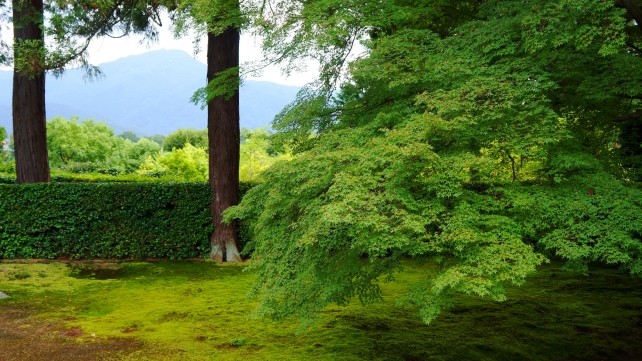 円通寺の比叡山借景庭園と青紅葉