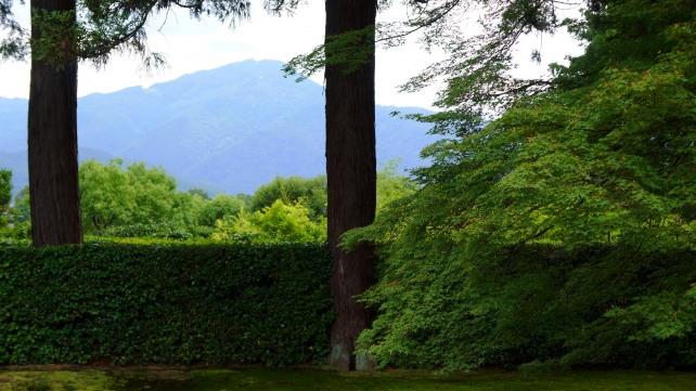 京都圓通寺の比叡山借景庭園と青紅葉