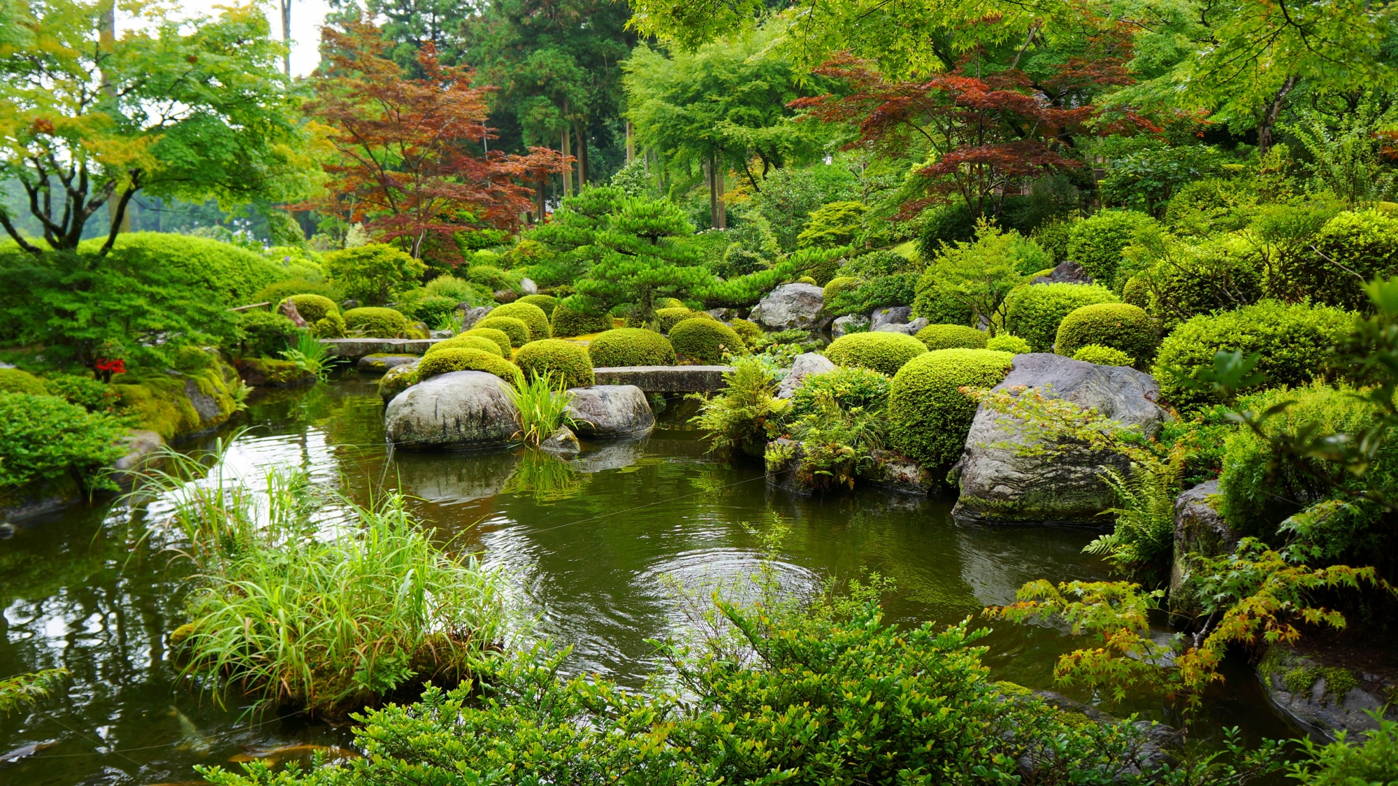三室戸寺の自然につつまれた池泉回遊式庭園