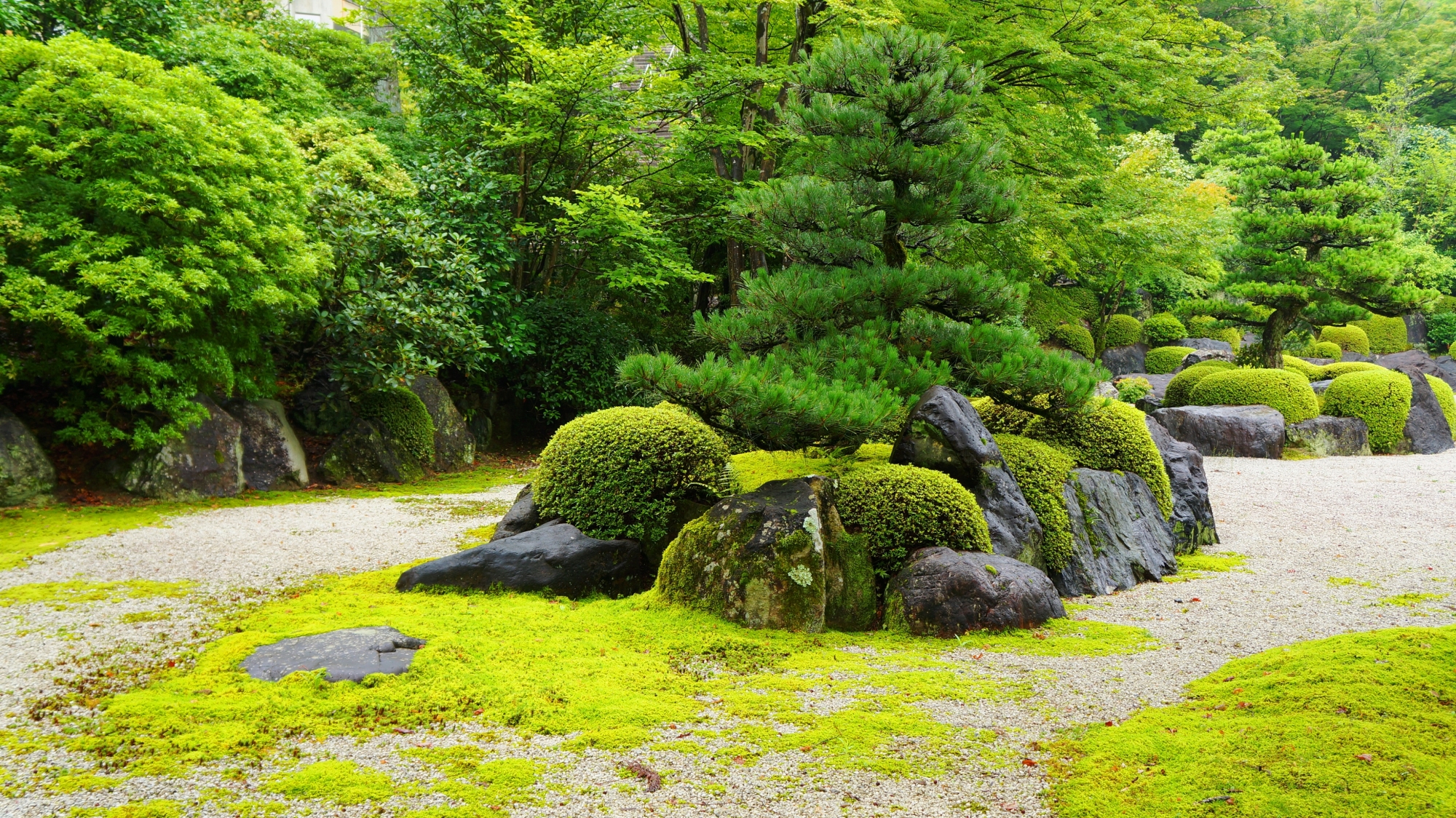 周辺も多種多様な緑や岩に囲まれている三室戸寺の枯山水庭園