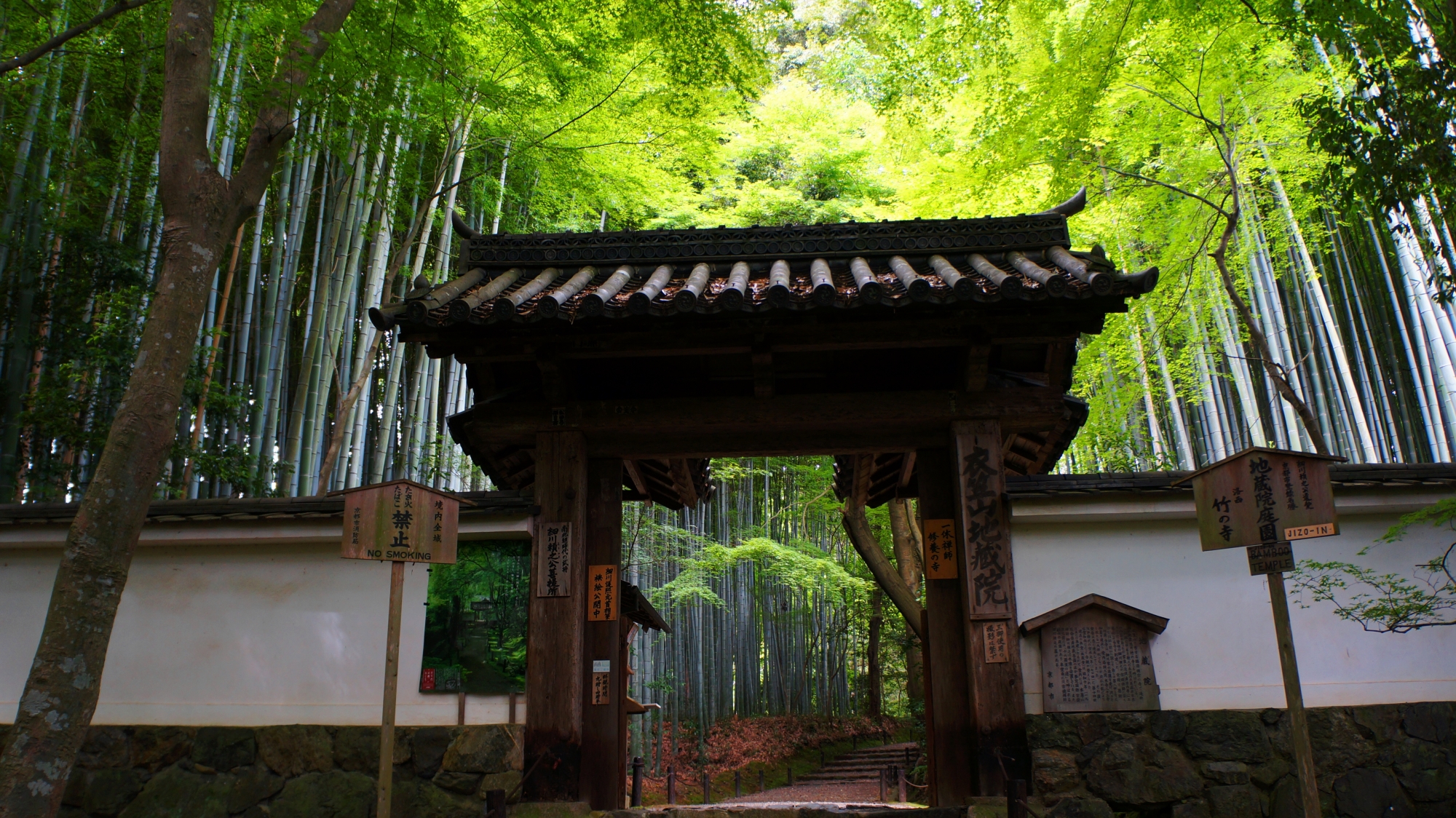 地蔵院 十六羅漢の庭　癒しの緑の空間　竹の寺