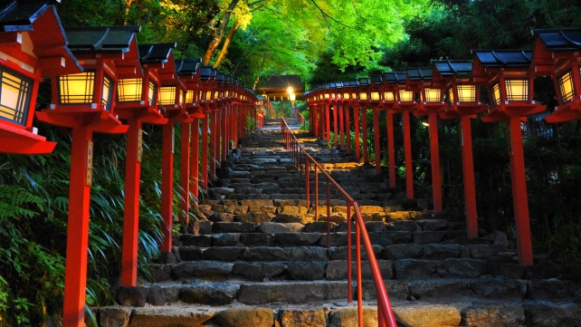 貴船神社の夕暮れ時の石段と灯篭の七夕笹飾りライトアップと青紅葉