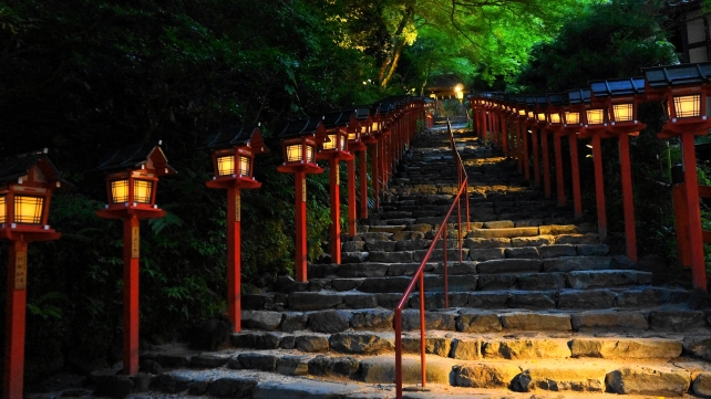 貴船神社の夕暮れ時の石段と灯篭の七夕笹飾りライトアップと青もみじ
