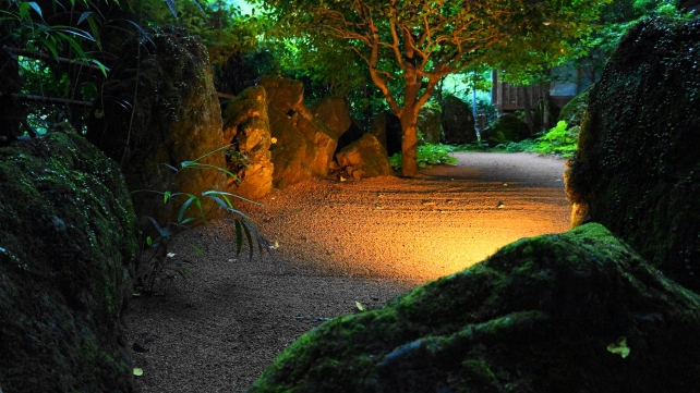 貴船神社の石庭の七夕笹飾りライトアップ