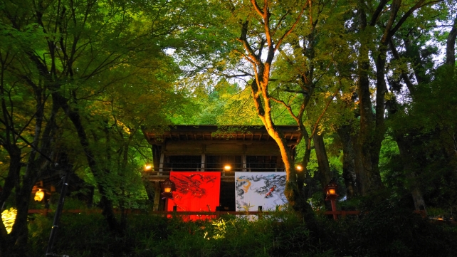京都貴船神社の龍船閣の夕暮れ時の七夕笹飾りライトアップ