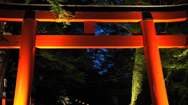貴船神社の鳥居の七夕笹飾りライトアップ
