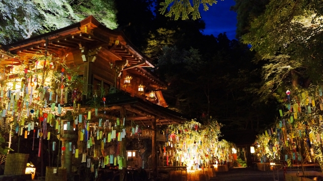 京都貴船神社の本宮の七夕笹飾りライトアップ