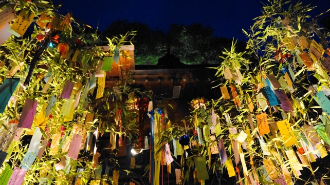 貴船神社の本宮の七夕笹飾りライトアップ