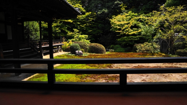 京都山科随心院の美しい本堂前庭園