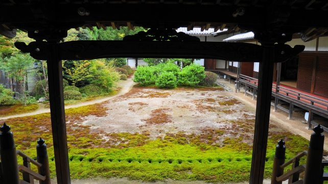 山科随心院の本堂前庭園と鮮やかな苔