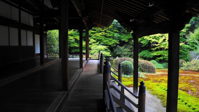 京都山科随心院の本堂から眺めた静かな庭園