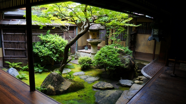 京都島原の角屋の中庭と青紅葉