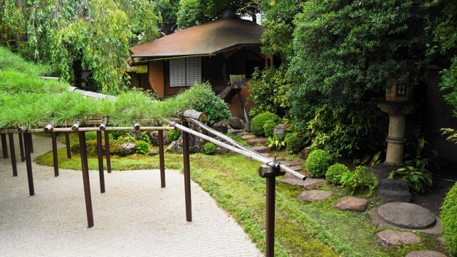 島原の角屋の臥龍松の庭 2014年8月