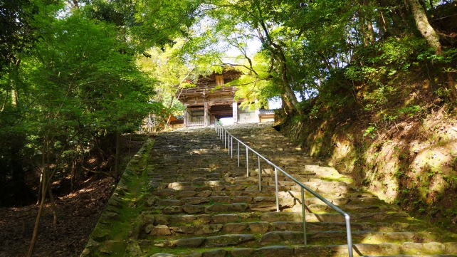 神護寺の楼門と青紅葉