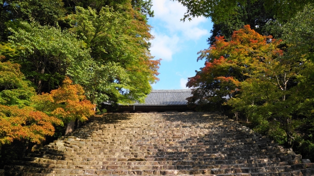 神護寺の金堂前石段と青紅葉