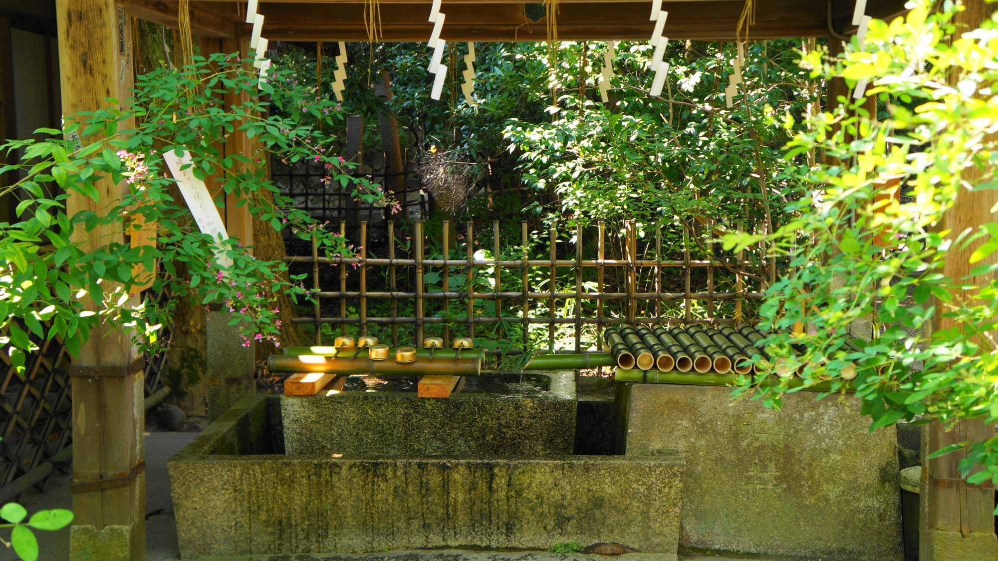 梨木神社の手水舎にある京都三名水のひとつの「染井の水」
