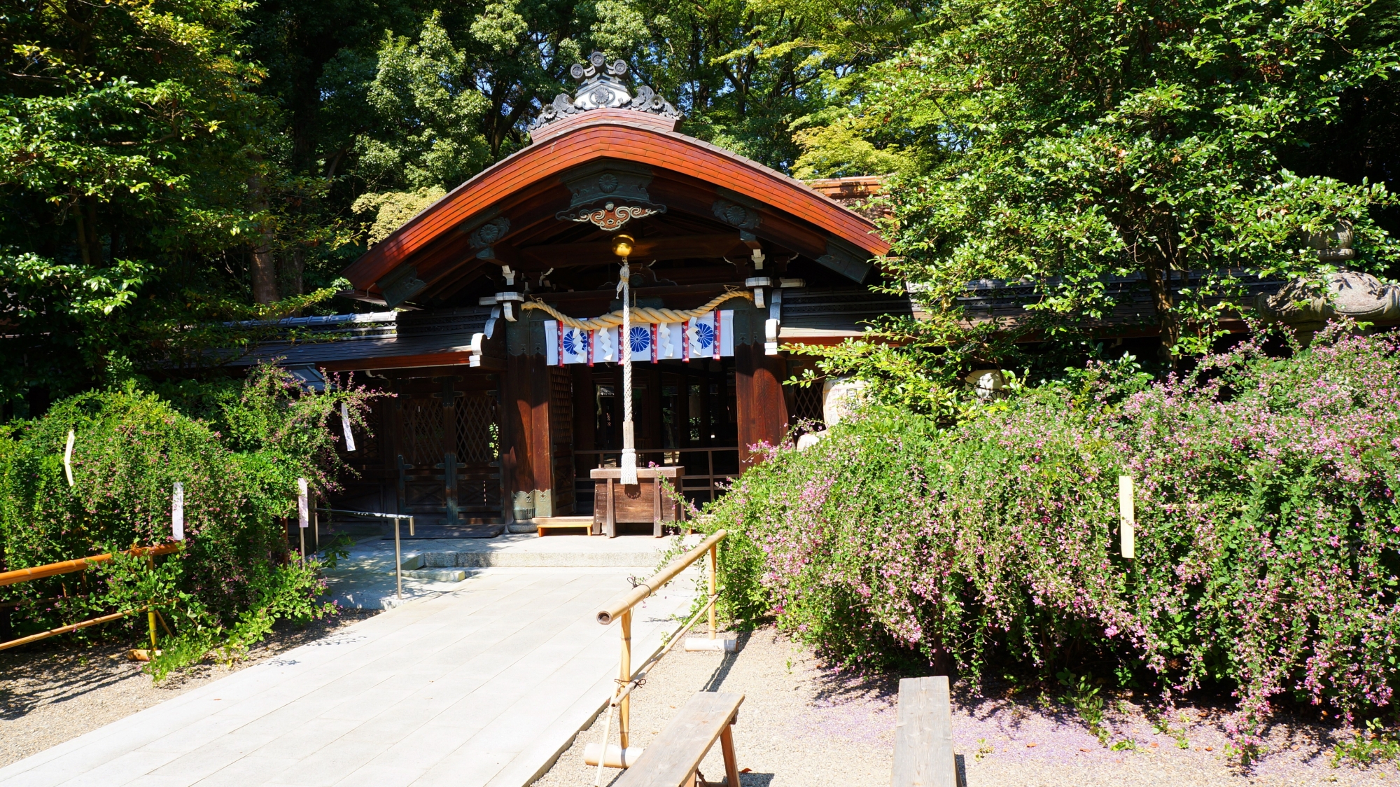 萩の花につつまれる梨木神社の中門と奥の本殿