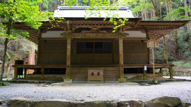 京都栂尾高山寺の金堂（本堂）の青もみじ