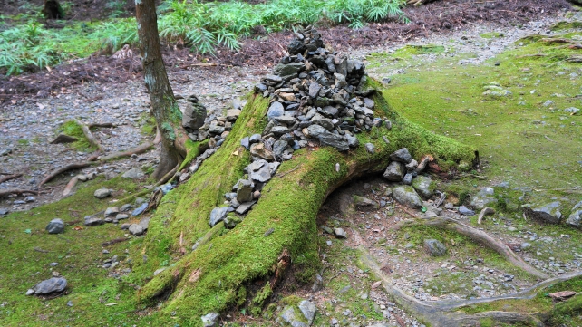 高山寺の参道の石