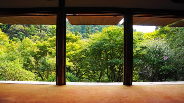 京都栂尾高山寺石水院の南縁の青紅葉
