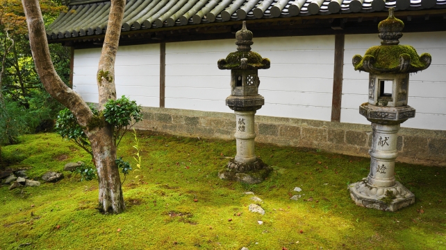 西明寺の燈籠と苔と青紅葉