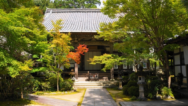 西明寺の本堂と青紅葉