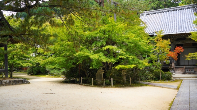 西明寺の本堂と青紅葉
