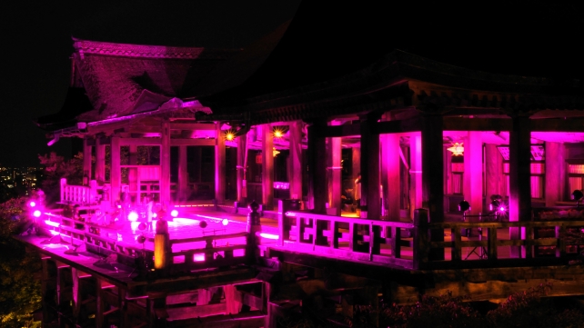 清水寺のピンクに浮かび上がる清水の舞台