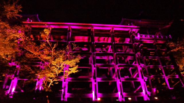 清水寺の下から見上げた本堂のピンクリボンキャンペーンライトアップ