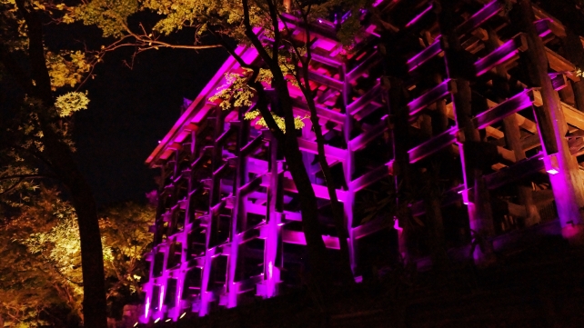 清水寺の下から見上げた舞台のピンクリボン活動協賛ライトアップ