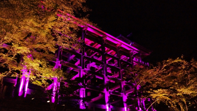 清水寺の下から見上げた本堂のピンクライトアップ
