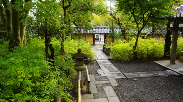 京都のお酒の神様の松尾大社の一ノ井川付近