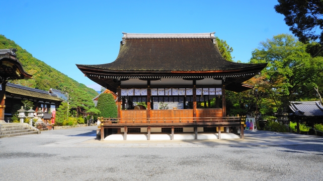 松尾大社　拝殿と本殿