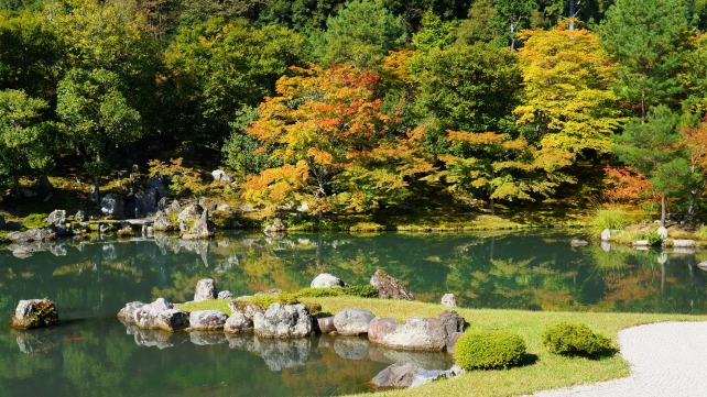 世界遺産の京都天龍寺の曹源池庭園の青もみじ