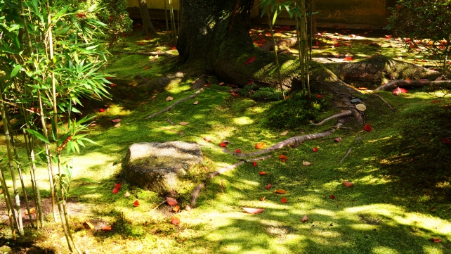 金地院の弁天池横の参道の緑の苔