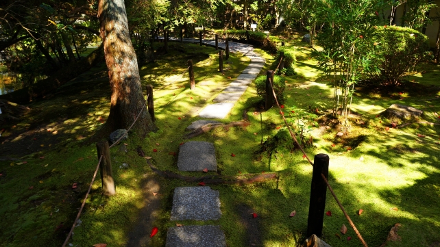 南禅寺塔頭金地院の弁天池横の参道の綺麗な苔