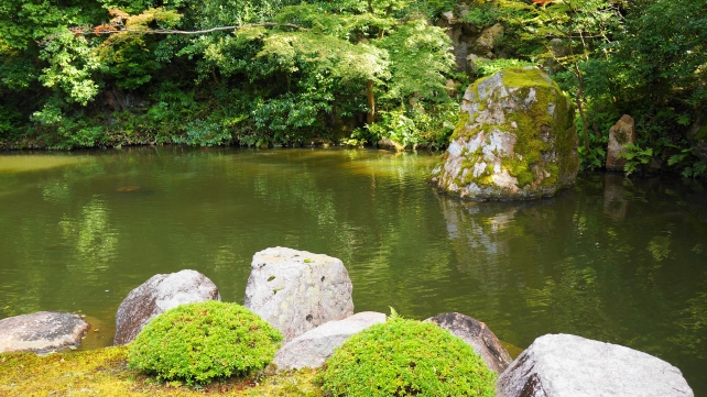 京都知恩院の大方丈東側の方丈庭園の青紅葉