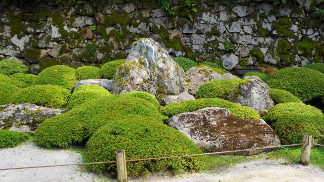 穴場の知恩院方丈庭園の二十五菩薩の庭