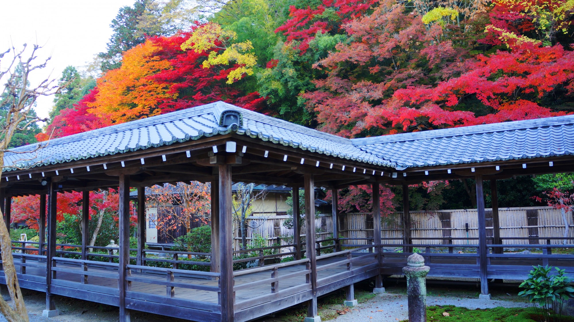 南禅寺 方丈庭園 紅葉　上品な秋色と豪快な彩り