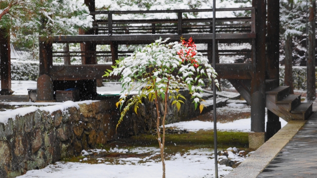 大徳寺 仏殿 雪化粧