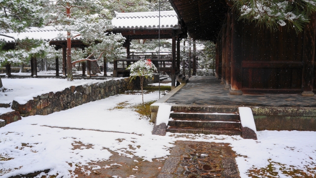 大徳寺 仏殿 雪