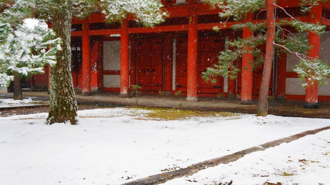 冬の京都大徳寺の雪で白くそまった赤い山門