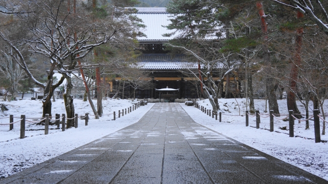 南禅寺 法堂 雪