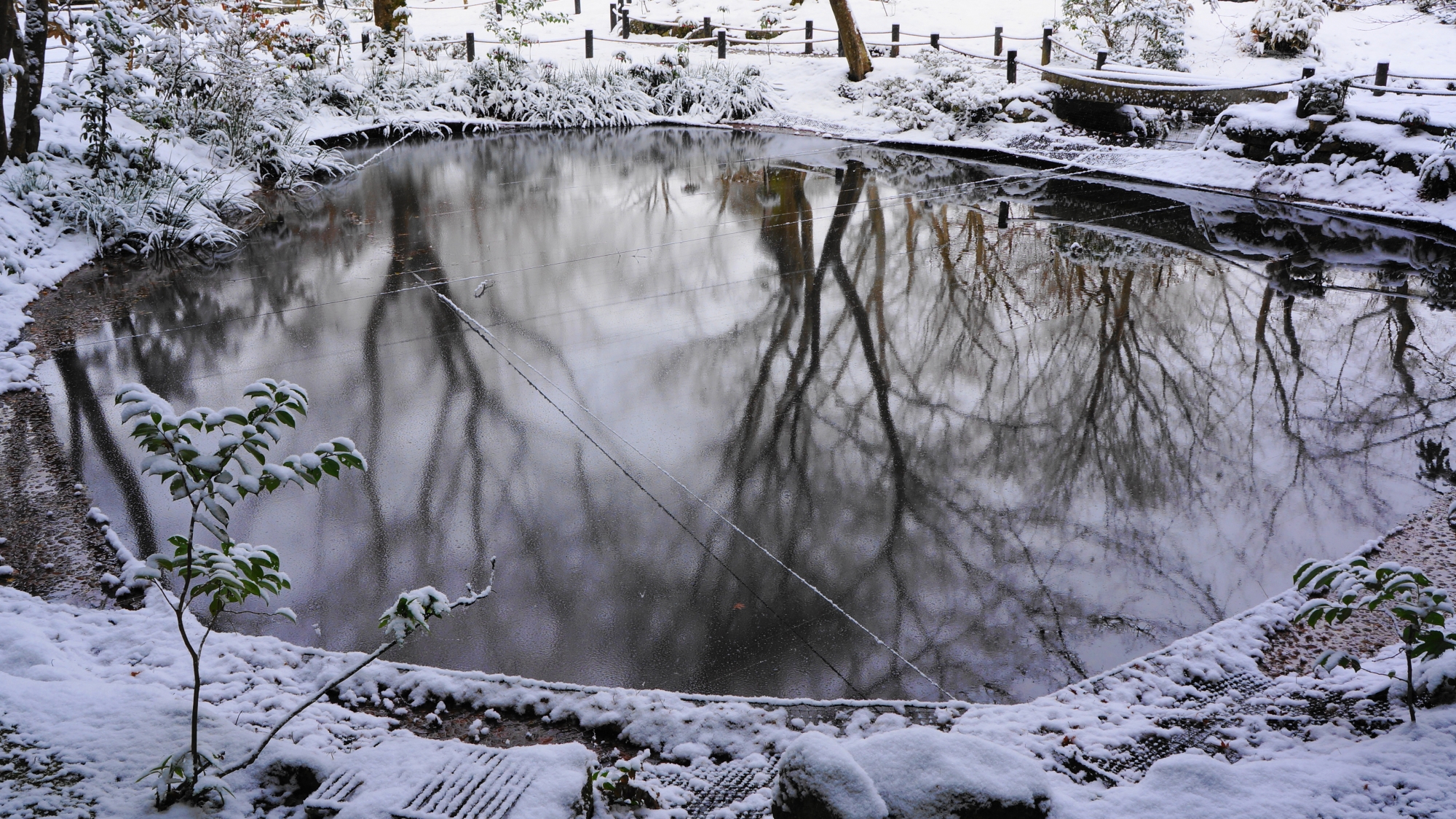 「栖龍池（せいりゅうち）」の雪景色