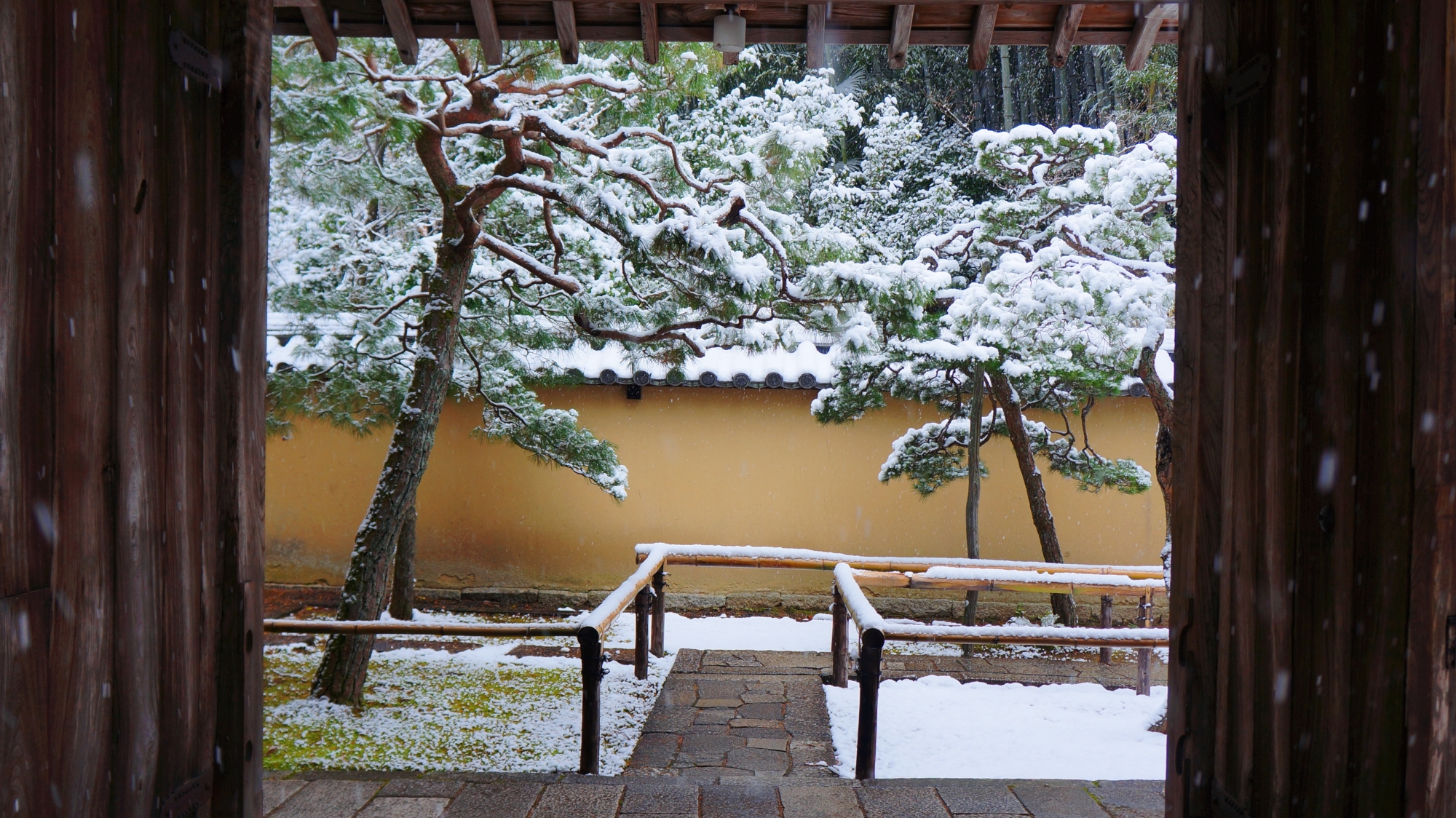 高桐院の表門付近の雪景色