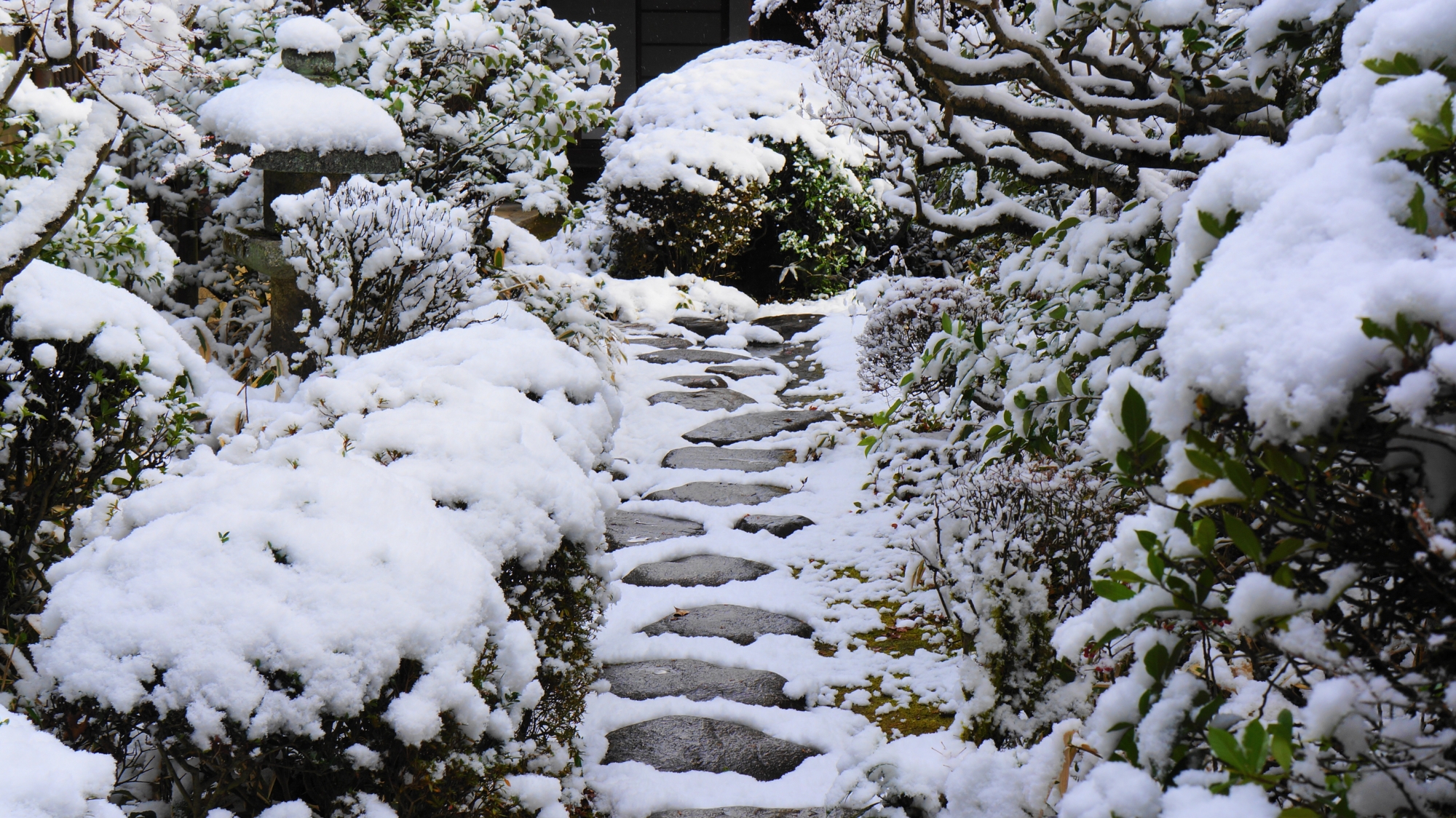高桐院の見事な飛び石と雪の冬景色