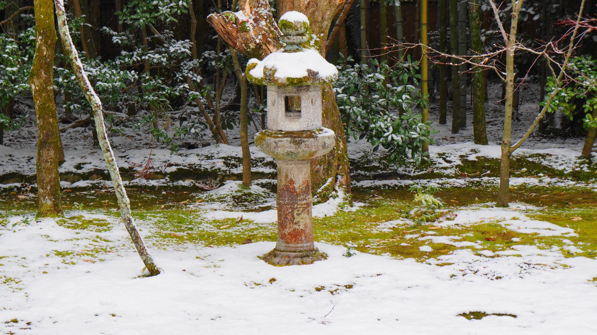 雪化粧した高桐院の有名な燈籠