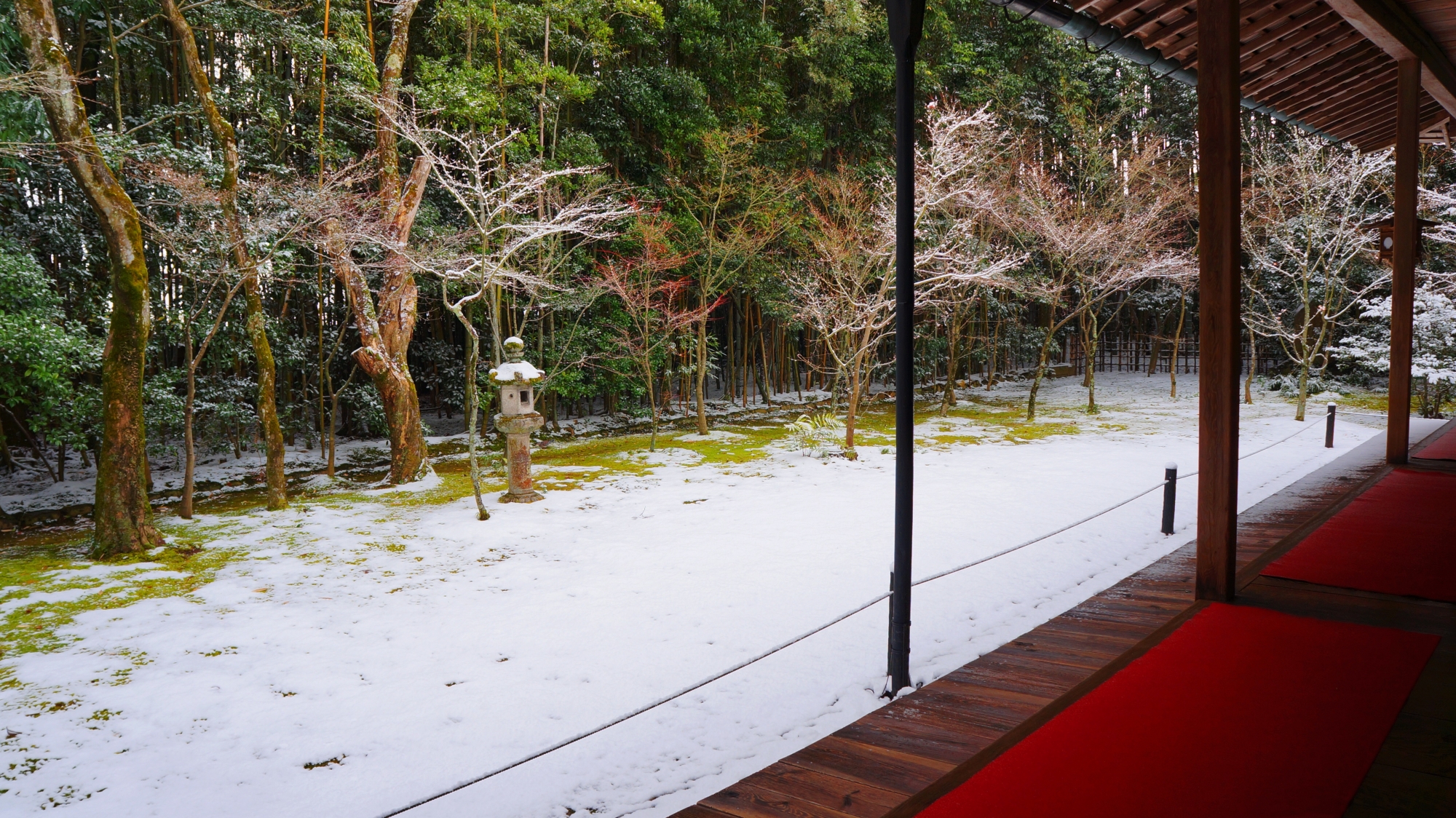 雪の庭園を演出する客殿の赤い絨毯