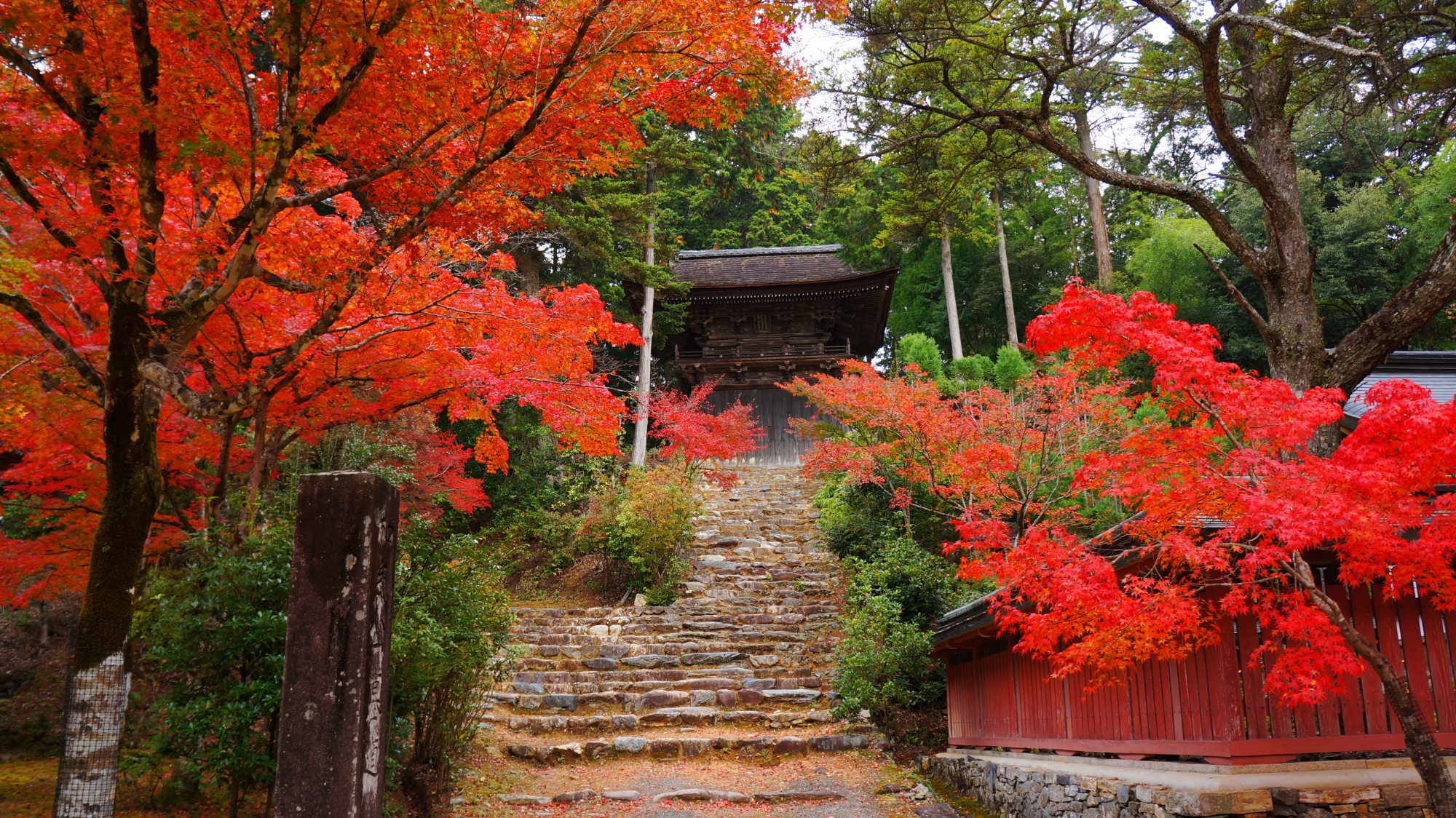 神護寺の鐘楼と溢れる多彩な紅葉